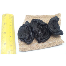 Load image into Gallery viewer, Malabar Tamarind (Brindleberry)