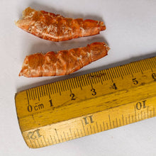 Load image into Gallery viewer, Dried Sea Prawns (cleaned), 300g