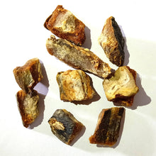 Load image into Gallery viewer, Dry Tuna Fish