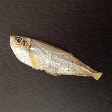 Load image into Gallery viewer, Dried Thada Fish (Raconda)