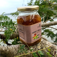 Load image into Gallery viewer, Amla Honey (Seedless), 450g