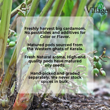 Load image into Gallery viewer, Cardamom Seed Powder, 100g