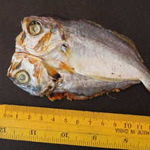 Load image into Gallery viewer, Kerala white fish