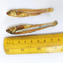 Load image into Gallery viewer, Dried Anchovy Fish (Nethali)