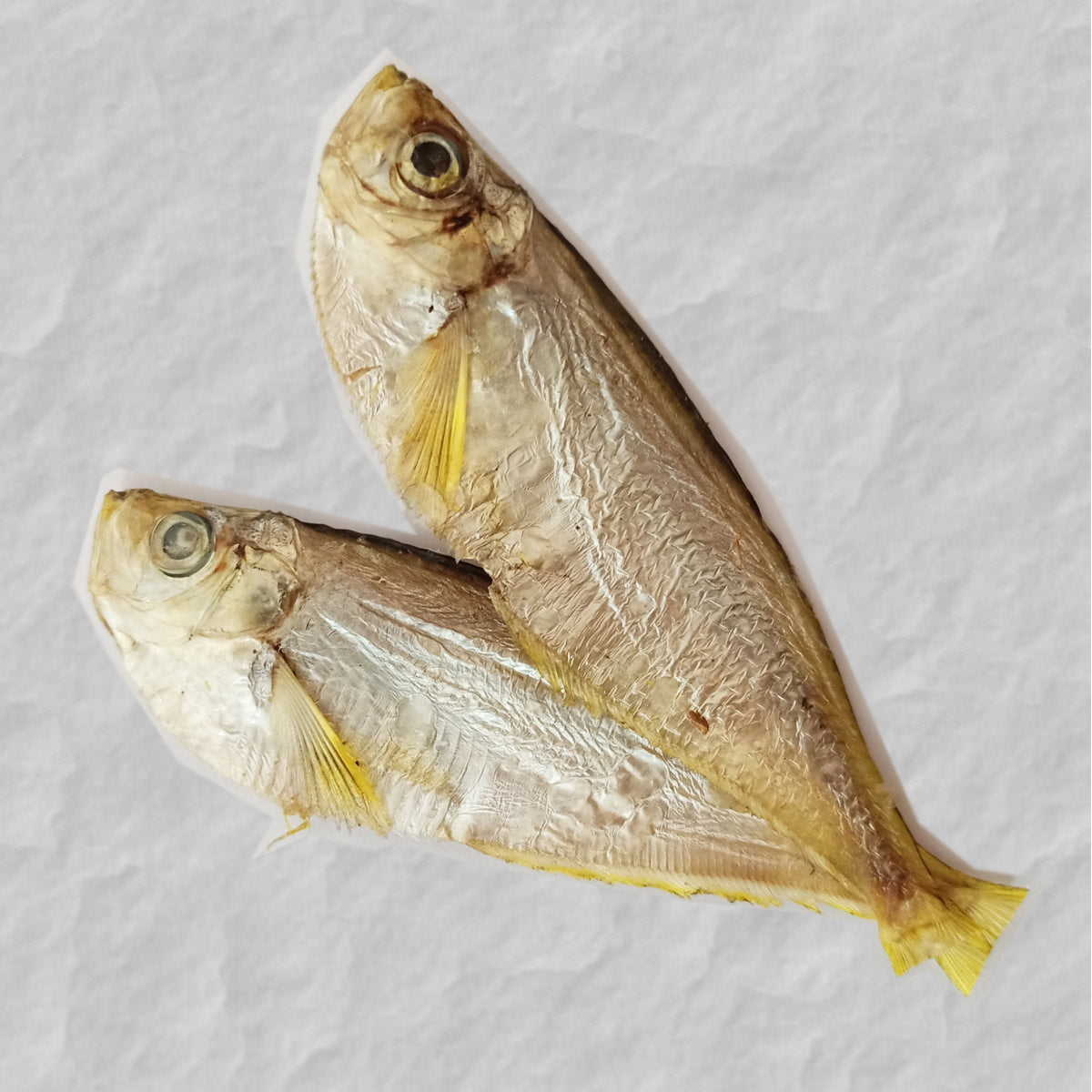 Dried Thada Fish (Raconda) – MyVillageShop.com
