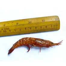 Load image into Gallery viewer, Dry Sea Prawns (Large Size), 200gm
