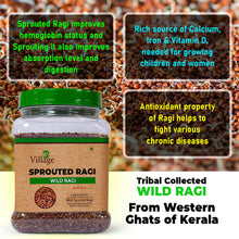 Load image into Gallery viewer, My village Sprouted Wild Ragi whole grains| Instant Healthy Wholesome Food | first food, 500g
