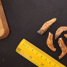 Load image into Gallery viewer, Dried Prawns (Fully Cleaned)
