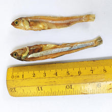 Load image into Gallery viewer, Dried Anchovy Fish (Nethali)
