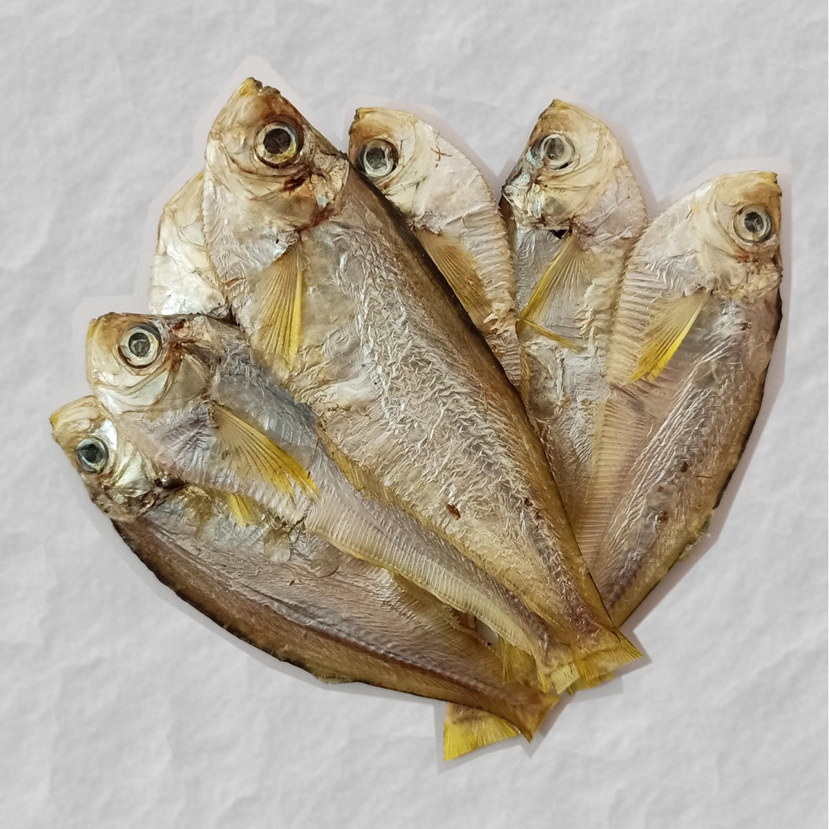 Types Of Fish Names In Kannada